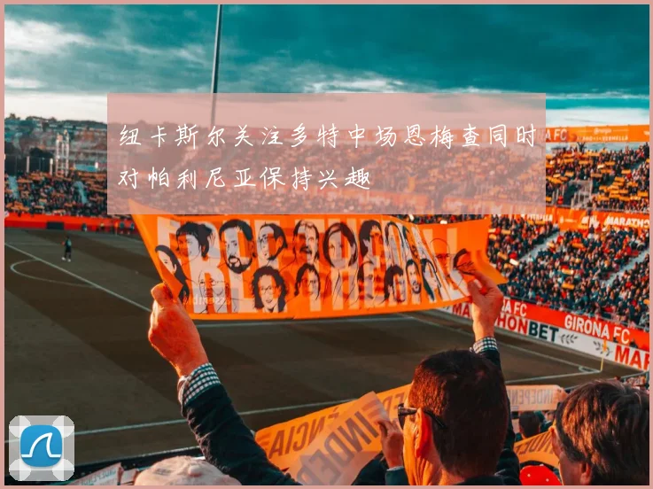 纽卡斯尔关注多特中场恩梅查同时对帕利尼亚保持兴趣