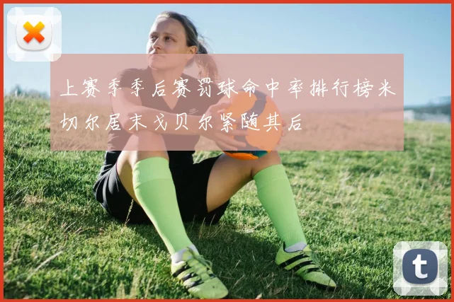 上赛季季后赛罚球命中率排行榜米切尔居末戈贝尔紧随其后